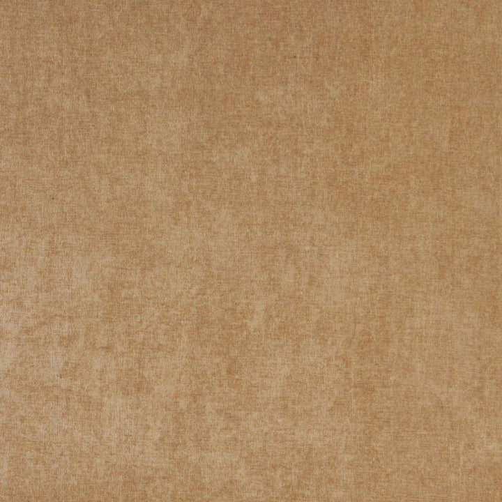 5153 Camel by Charlotte Designer Fabric Ring Book Page #41 100% Woven Polyester Asia Exceeds 130,000 Wyzenbeek Rubs (Heavy Duty) No Repeat 54 Inches - Swanky Fabrics -