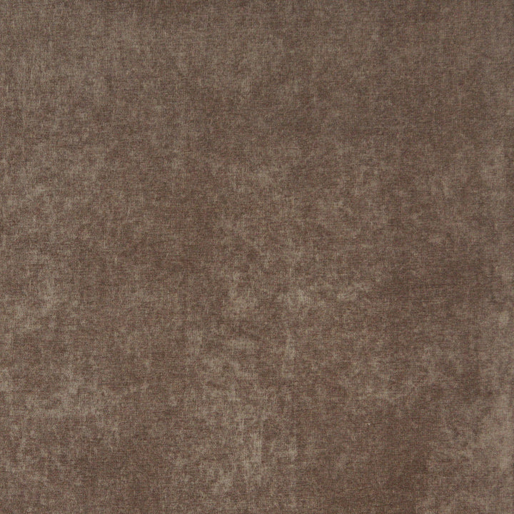 5155 Truffle by Charlotte Designer Fabric Ring Book Page #41 100% Woven Polyester Asia Exceeds 130,000 Wyzenbeek Rubs (Heavy Duty) No Repeat 54 Inches - Swanky Fabrics -