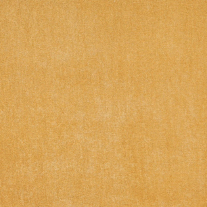5160 Straw by Charlotte Designer Fabric Ring Book Page #41 100% Woven Polyester Asia Exceeds 240,000 Wyzenbeek Rubs (Heavy Duty) </p><p>Repeat: 54 Inches - Swanky Fabrics -