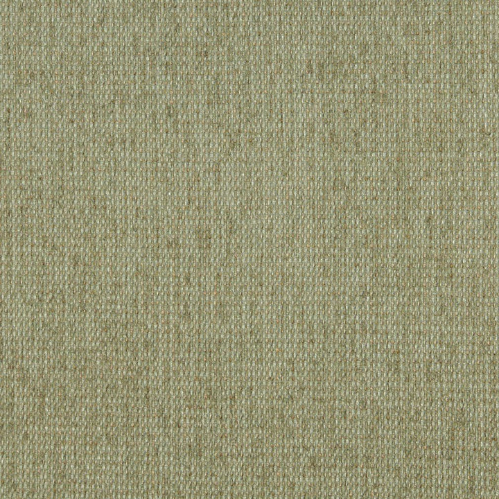 5170 Willow by Charlotte Designer Fabric Ring Book Page #38 & 15A 100% Woven Polyester Asia Exceeds 240,000 Wyzenbeek Rubs (Heavy Duty) </p><p>Repeat: 54 Inches - Swanky Fabrics -