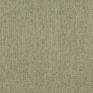 Charlotte Fabric 5170 Willow