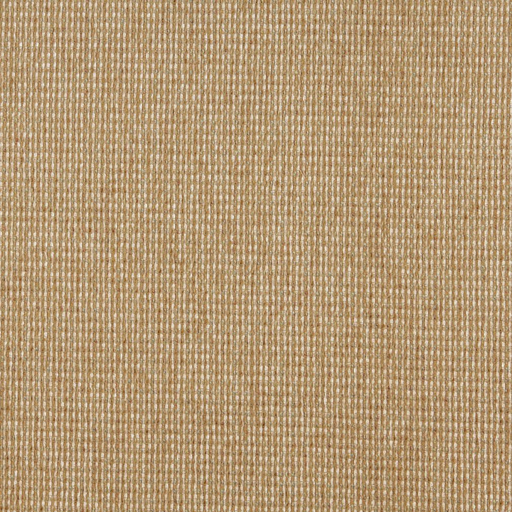 5172 Seagrass by Charlotte Designer Fabric Ring Book Page #38 100% Woven Polyester Asia Exceeds 110,000 Wyzenbeek Rubs (Heavy Duty) No Repeat 54 Inches - Swanky Fabrics -