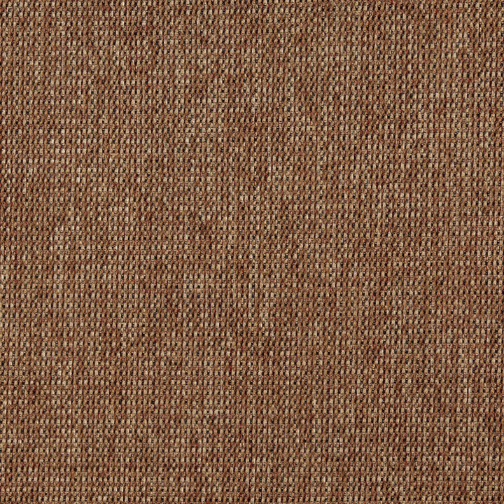 5173 Nutmeg by Charlotte Designer Fabric Ring Book Page #38 100% Woven Polyester Asia Exceeds 110,000 Wyzenbeek Rubs (Heavy Duty) No Repeat 54 Inches - Swanky Fabrics -