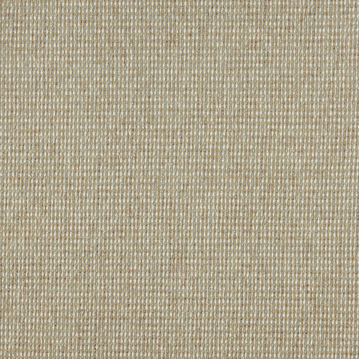 5174 Celadon by Charlotte Designer Fabric Ring Book Page #38 100% Woven Polyester Asia Exceeds 110,000 Wyzenbeek Rubs (Heavy Duty) No Repeat 54 Inches - Swanky Fabrics -