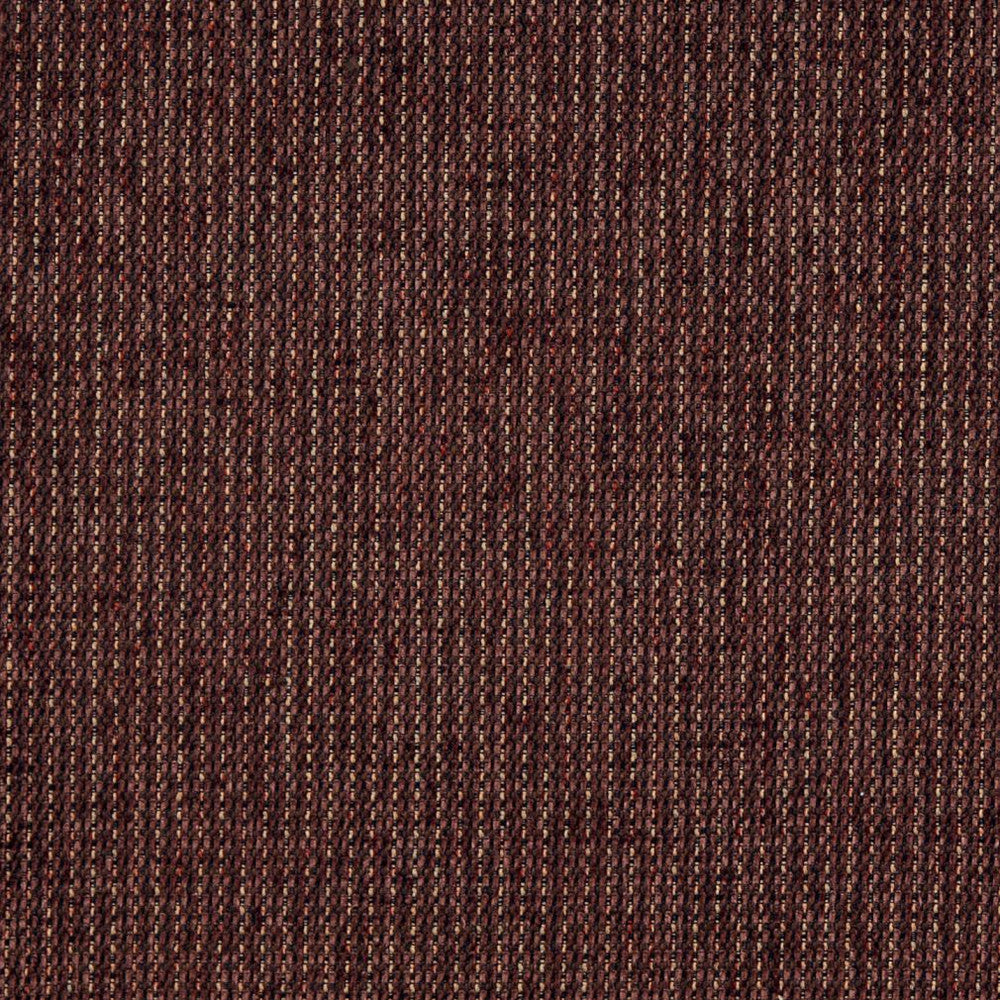 5175 Sable by Charlotte Designer Fabric Ring Book Page #38 100% Woven Polyester Asia Exceeds 110,000 Wyzenbeek Rubs (Heavy Duty) No Repeat 54 Inches - Swanky Fabrics -