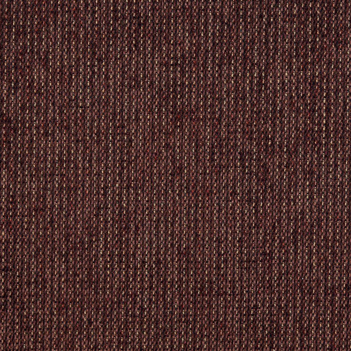 5175 Sable by Charlotte Designer Fabric Ring Book Page #38 100% Woven Polyester Asia Exceeds 110,000 Wyzenbeek Rubs (Heavy Duty) No Repeat 54 Inches - Swanky Fabrics -