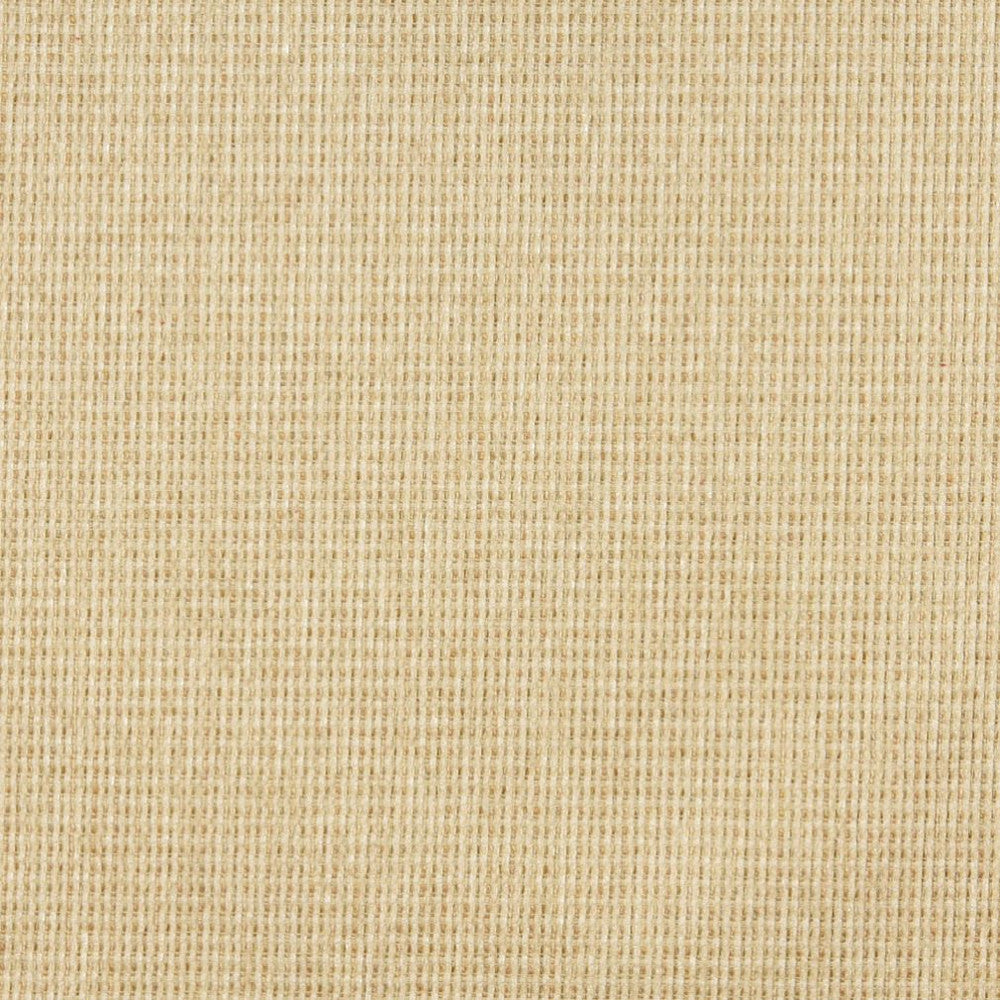 5176 Parfait by Charlotte Designer Fabric Ring Book Page #38 100% Woven Polyester Asia Exceeds 110,000 Wyzenbeek Rubs (Heavy Duty) No Repeat 54 Inches - Swanky Fabrics -