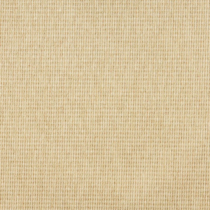 5176 Parfait by Charlotte Designer Fabric Ring Book Page #38 100% Woven Polyester Asia Exceeds 110,000 Wyzenbeek Rubs (Heavy Duty) No Repeat 54 Inches - Swanky Fabrics -