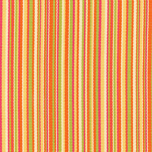 Schumacher Fabric Capri Stripe Tangerine/Kiwi 51770