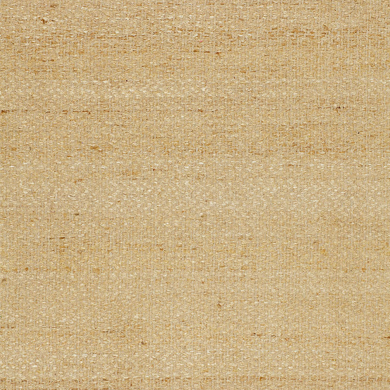 Vasur Silk Matka Ivory 51791 by Schumacher Designer Fabric AU NATUREL See Sample INDIA LIGHT DUTY </p><p>Repeat: Horizontal: 3/8" (1CM) and Vertical: 7/8" (2CM) 52" WIDE (132CM) - Swanky Fabrics -