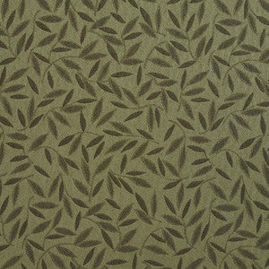 Charlotte Fabric 5202 Fern