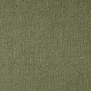 Charlotte Fabric 5218 Willow