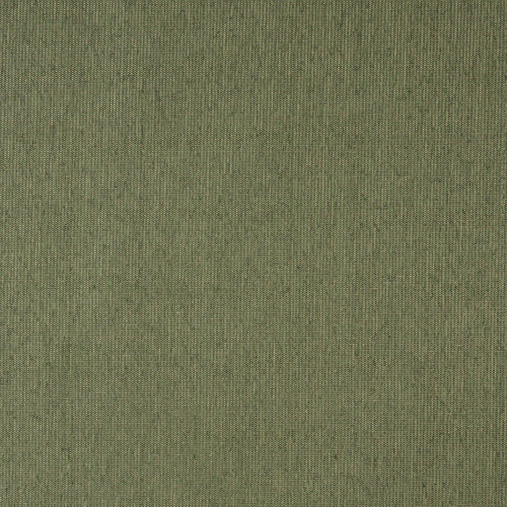 5218 Willow by Charlotte Designer Fabric Decorative Durables IX 78% Olefin,22% Polyester Made In USA Exceeds 100,000 Wyzenbeek Rubs (Heavy Duty) No Repeat 54 Inches - Swanky Fabrics -