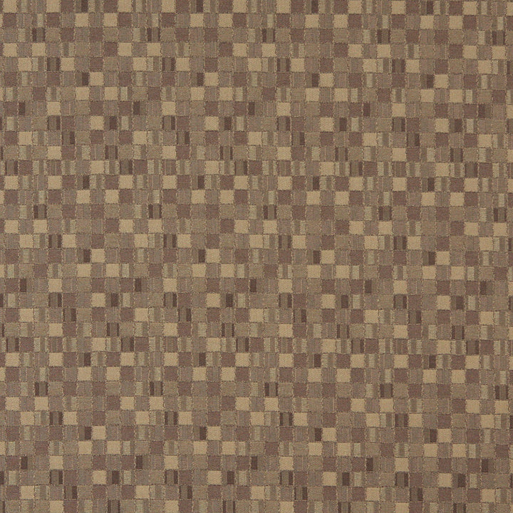 5251 Dune by Charlotte Designer Fabric Decorative Durables IX 100% Woven Polyester Made In USA Exceeds 100,000 Wyzenbeek Rubs (Heavy Duty) </p><p>Repeat: Horizontal: 4.5" x Vertical: 4.5" 54 Inches - Swanky Fabrics -