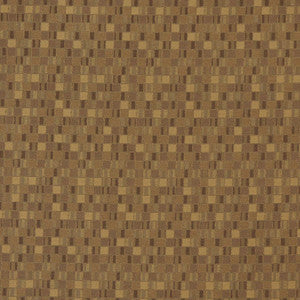 Charlotte Fabric 5254 Desert