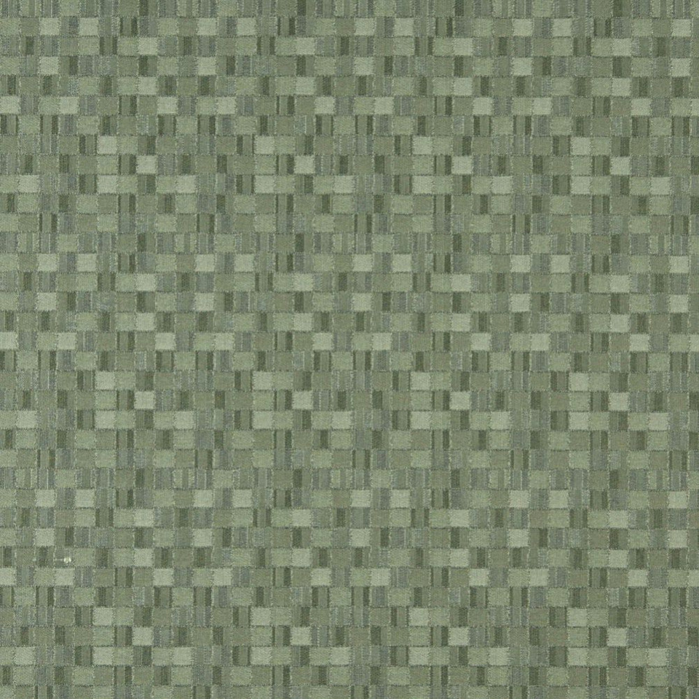 5259 Aloe by Charlotte Designer Fabric Decorative Durables IX 100% Woven Polyester Made In USA Exceeds 100,000 Wyzenbeek Rubs (Heavy Duty) </p><p>Repeat: Horizontal: 4.5" x Vertical: 4.5" 54 Inches - Swanky Fabrics -