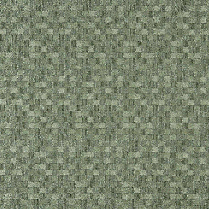 5259 Aloe by Charlotte Designer Fabric Decorative Durables IX 100% Woven Polyester Made In USA Exceeds 100,000 Wyzenbeek Rubs (Heavy Duty) Horizontal: 4.5" x Vertical: 4.5" 54 Inches - Swanky Fabrics -