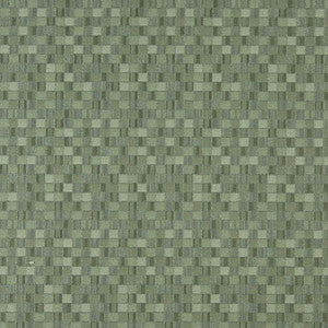 Charlotte Fabric 5259 Aloe