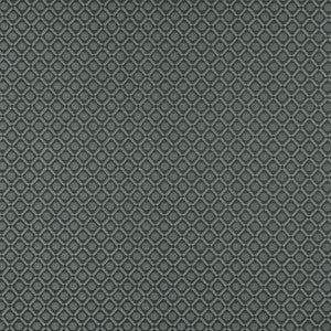Charlotte Fabric 5264 Sterling