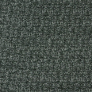 Charlotte Fabric 5266 Granite