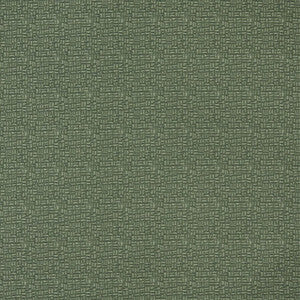 Charlotte Fabric 5267 Sage