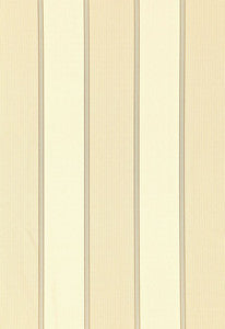 Schumacher Fabric Sophia Silk Stripe Champagne 52712