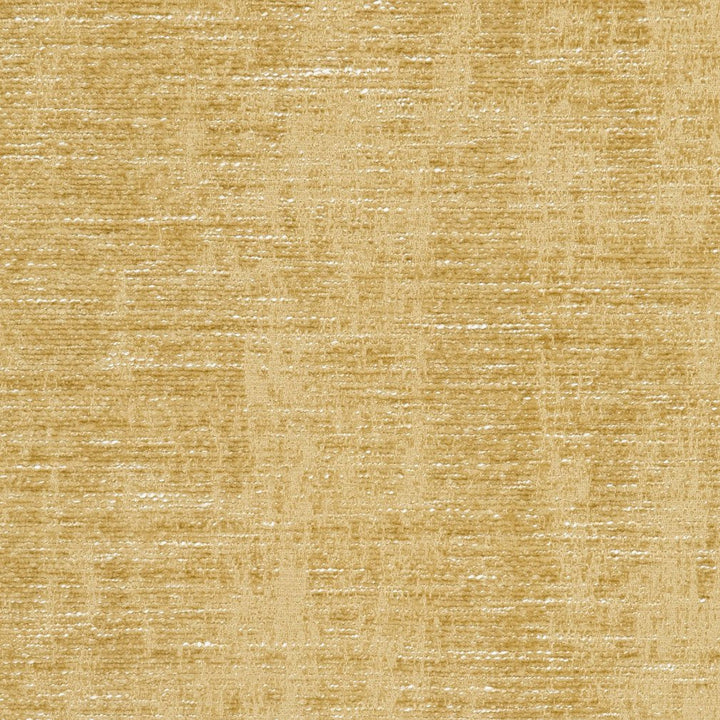 5303 Gold by Charlotte Designer Fabric Ring Book Page #6A 87% Polyester, 13% Rayon Asia Exceeds 60,000 Wyzenbeek Rubs (Heavy Duty) No Repeat 54 Inches - Swanky Fabrics -