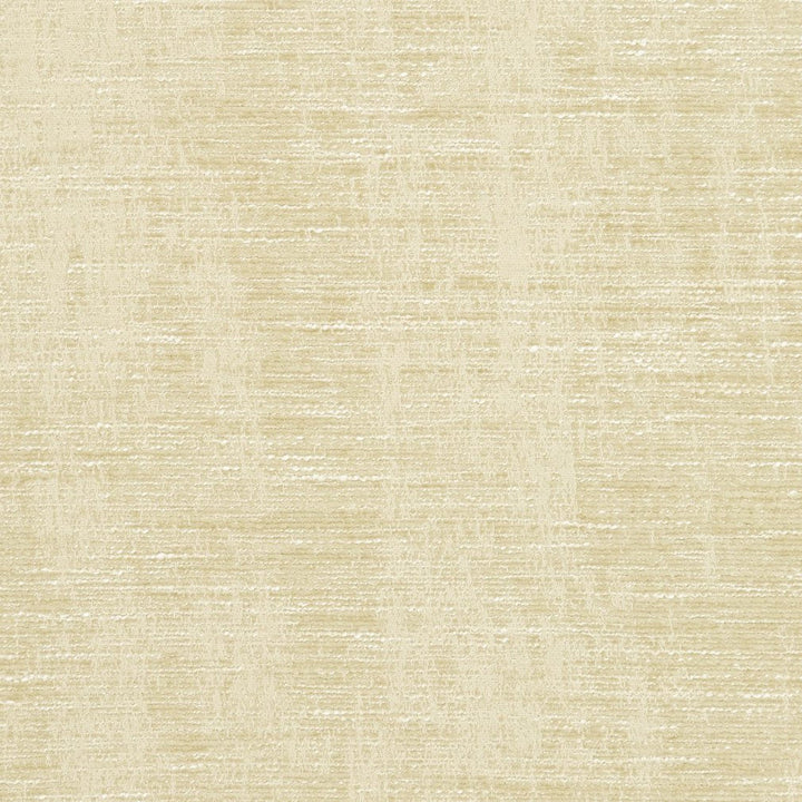 5307 Ecru by Charlotte Designer Fabric Ring Book Page #6A 87% Polyester, 13% Rayon Asia Exceeds 60,000 Wyzenbeek Rubs (Heavy Duty) No Repeat 54 Inches - Swanky Fabrics -