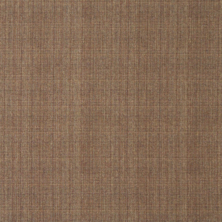 5373 Sable by Charlotte Designer Fabric Ring Book Page #32 55% Polyester; 45% Cotton Asia Exceeds 90,000 Wyzenbeek Rubs (Heavy Duty) No Repeat 54 Inches - Swanky Fabrics -