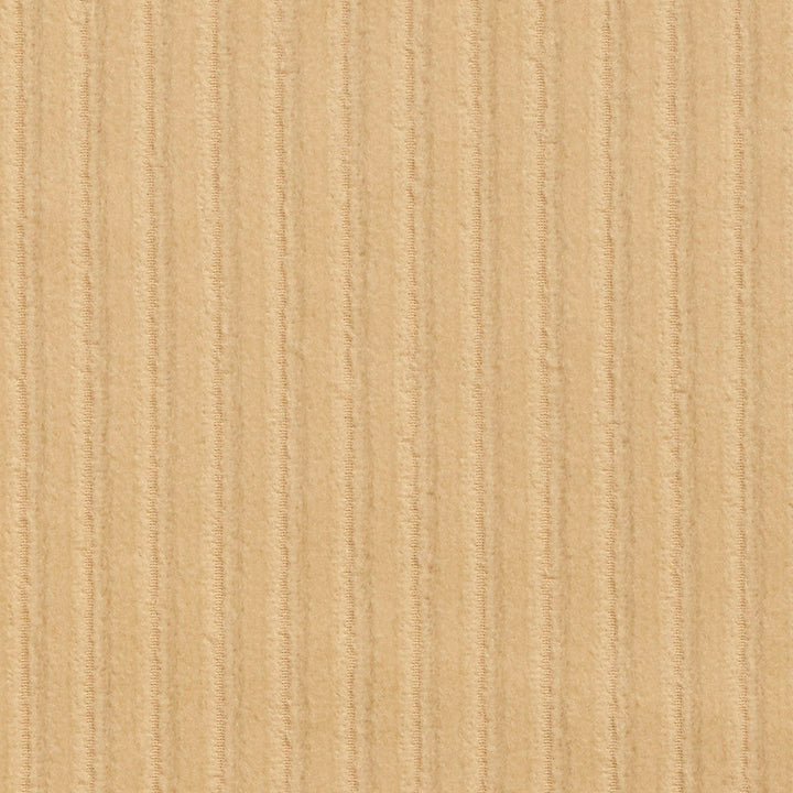 5384 Buff by Charlotte Designer Fabric Ring Book Page #31 100% Woven Polyester Asia Exceeds 70,000 Wyzenbeek Rubs (Heavy Duty) Horizontal: 0.5" 54 Inches - Swanky Fabrics -