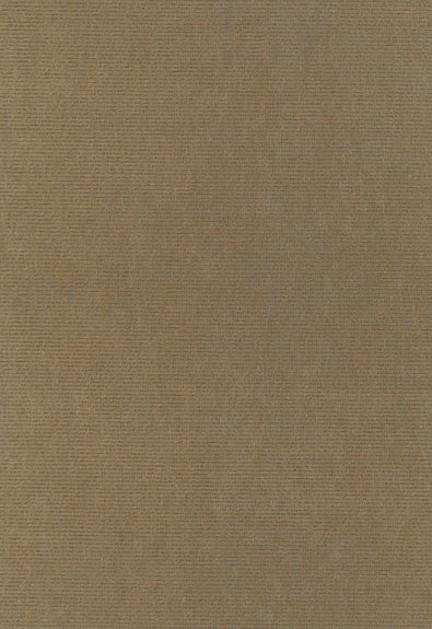 Chiaroscuro Velvet Mink 54885 by Schumacher Designer Fabric Essential-Velvets 55% Cotton, 45% Mohair Martindale 40,000 Horizontal: - and Vertical: - 54 - Swanky Fabrics -