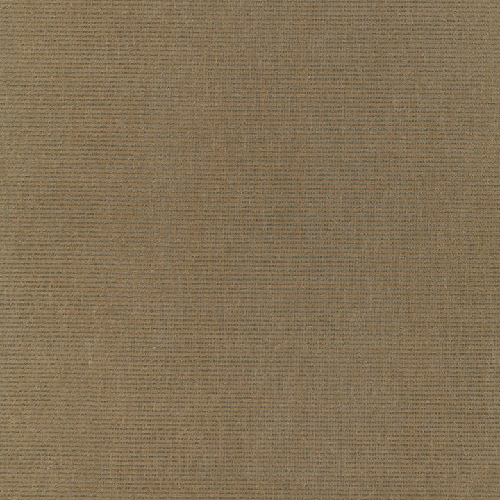 Chiaroscuro Velvet Mink 54885 by Schumacher Designer Fabric ESSENTIAL VELVETS COTTON 55% MOHAIR 45% BELGIUM MARTINDALE 40,000 </p><p>Repeat: Horizontal: and Vertical: 54 - Swanky Fabrics -