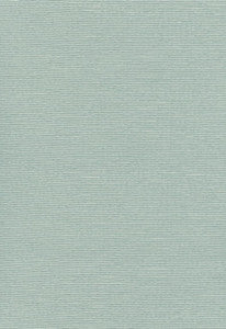 Schumacher Fabric Delacroix Silk Ottoman Aquamarine 54961