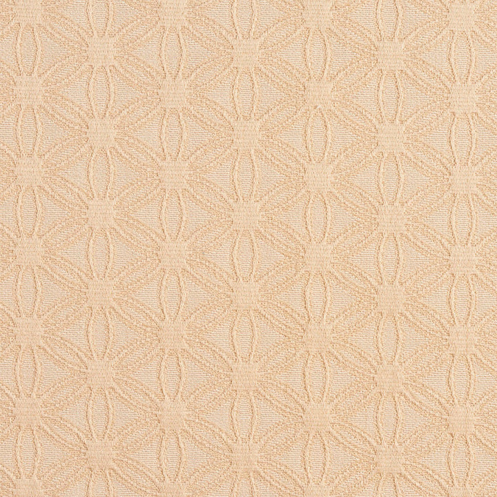 5535 Natural/Charm by Charlotte Designer Fabric Enchanted Gardens 75% Cotton, 25% Polyester Asia Exceeds 70,000 Wyzenbeek Rubs (Heavy Duty) Horizontal: 2.5" x Vertical: 1.5" 54 Inches - Swanky Fabrics -