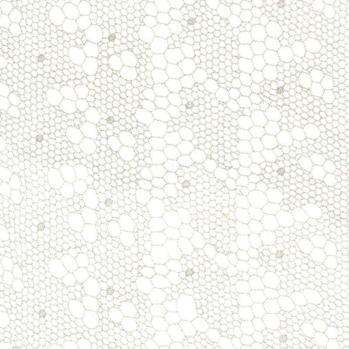 Tracery Lace Silver 55490 by Schumacher Designer Fabric MODERN WOVENS VISCOSE 80% POLYESTER 20% FRANCE </p><p>Repeat: Horizontal: 12 1/2" (32CM) and Vertical: 3" (8CM) 50 - Swanky Fabrics -