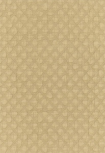 Schumacher Fabric Lucca Matelasse Antelope 55581