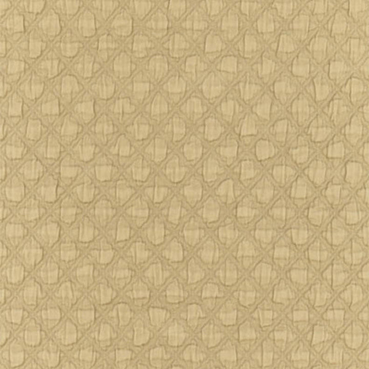 Lucca Matelasse Antelope 55581 by Schumacher Fabric Schumacher Fabric Lucca Matelasse Antelope 55581Fabric COTTON 100% ITALY </p><p>Repeat: H: HORZ. 1/2" (1CM) , V: VERT. 5/8" (2CM) 51 - Fabric Carolina -