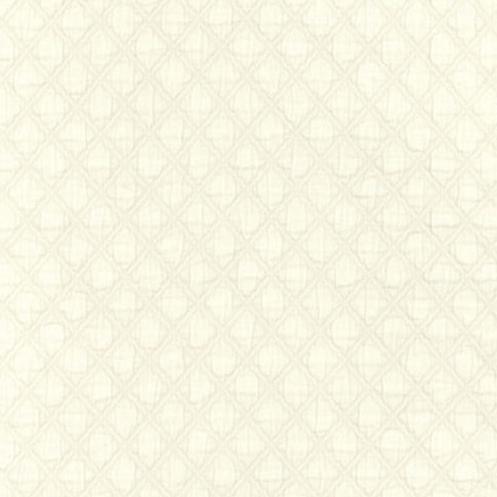 Lucca Matelasse Porcelain 55584 by Schumacher Fabric Schumacher Fabric Lucca Matelasse Porcelain 55584Fabric COTTON 100% ITALY </p><p>Repeat: H: HORZ. 1/2" (1CM) , V: VERT. 5/8" (2CM) 51 - Fabric Carolina -