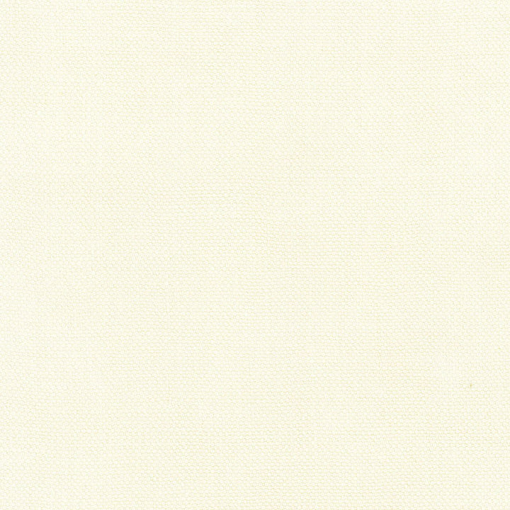 Ramsey Jute Plain Cream 55931 by Schumacher Fabric Schumacher Fabric Ramsey Jute Plain Cream 55931Fabric JUTE 100% INDIA </p><p>Repeat: H: , V: 54 - Fabric Carolina -