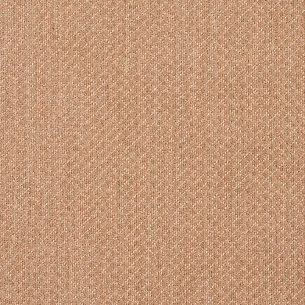 5594 Sand by Charlotte Designer Fabric Ring Book Page #29 100% Woven Polyester Asia Exceeds 100,000 Wyzenbeek Rubs (Heavy Duty) Horizontal: 0.25" x Vertical: 0.25" 54 Inches - Swanky Fabrics -