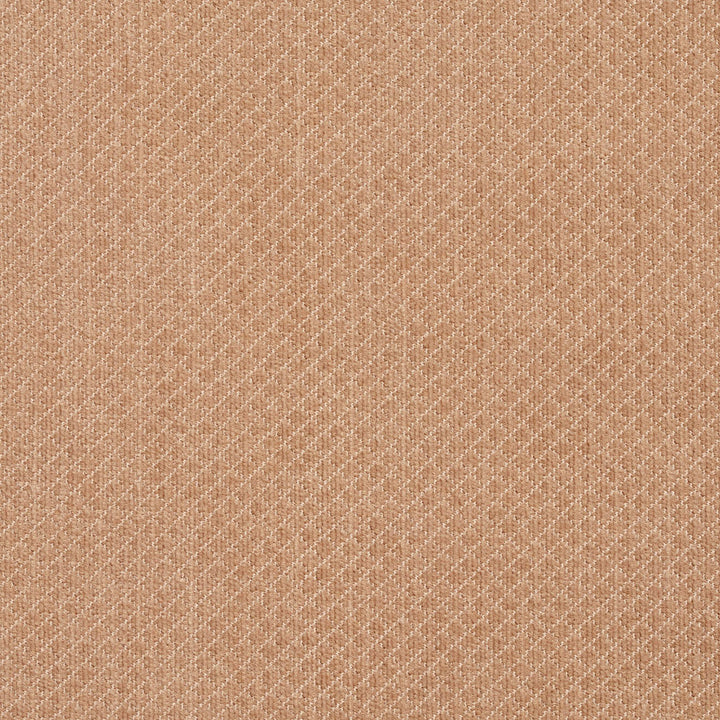 5594 Sand by Charlotte Designer Fabric Ring Book Page #29 100% Woven Polyester Asia Exceeds 100,000 Wyzenbeek Rubs (Heavy Duty) Horizontal: 0.25" x Vertical: 0.25" 54 Inches - Swanky Fabrics -