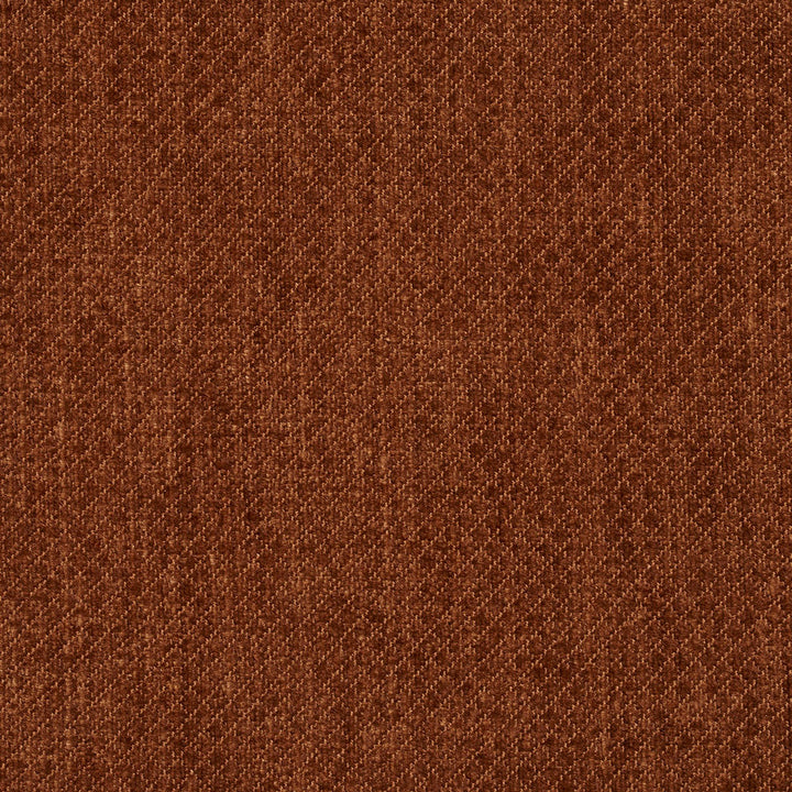 5596 Nutmeg by Charlotte Designer Fabric Ring Book Page #29 100% Woven Polyester Asia Exceeds 100,000 Wyzenbeek Rubs (Heavy Duty) Horizontal: 0.25" x Vertical: 0.25" 54 Inches - Swanky Fabrics -