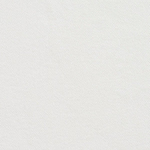 Charlotte Fabric 5671 Brilliant White