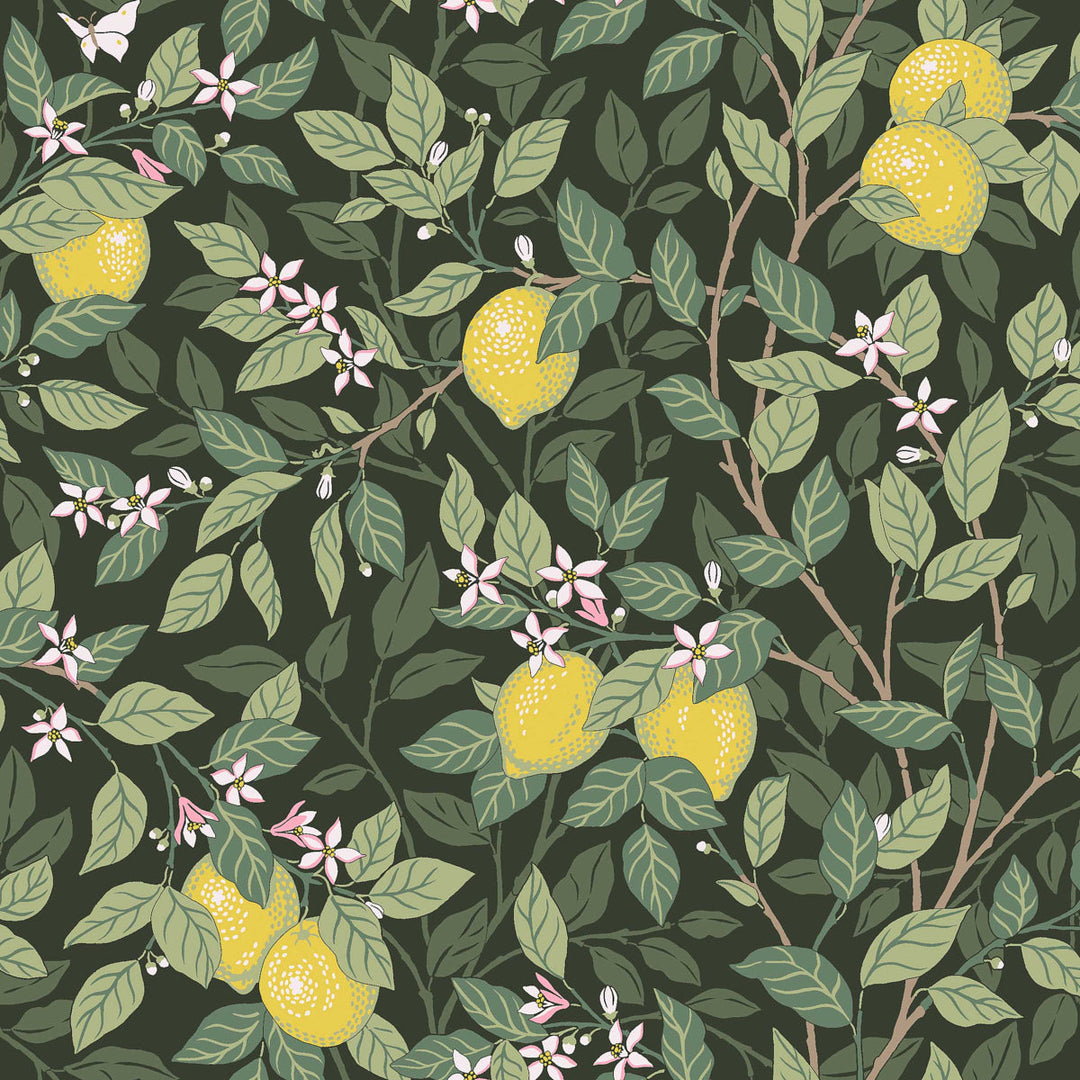 Schumacher Wallcovering Citronträd - Green