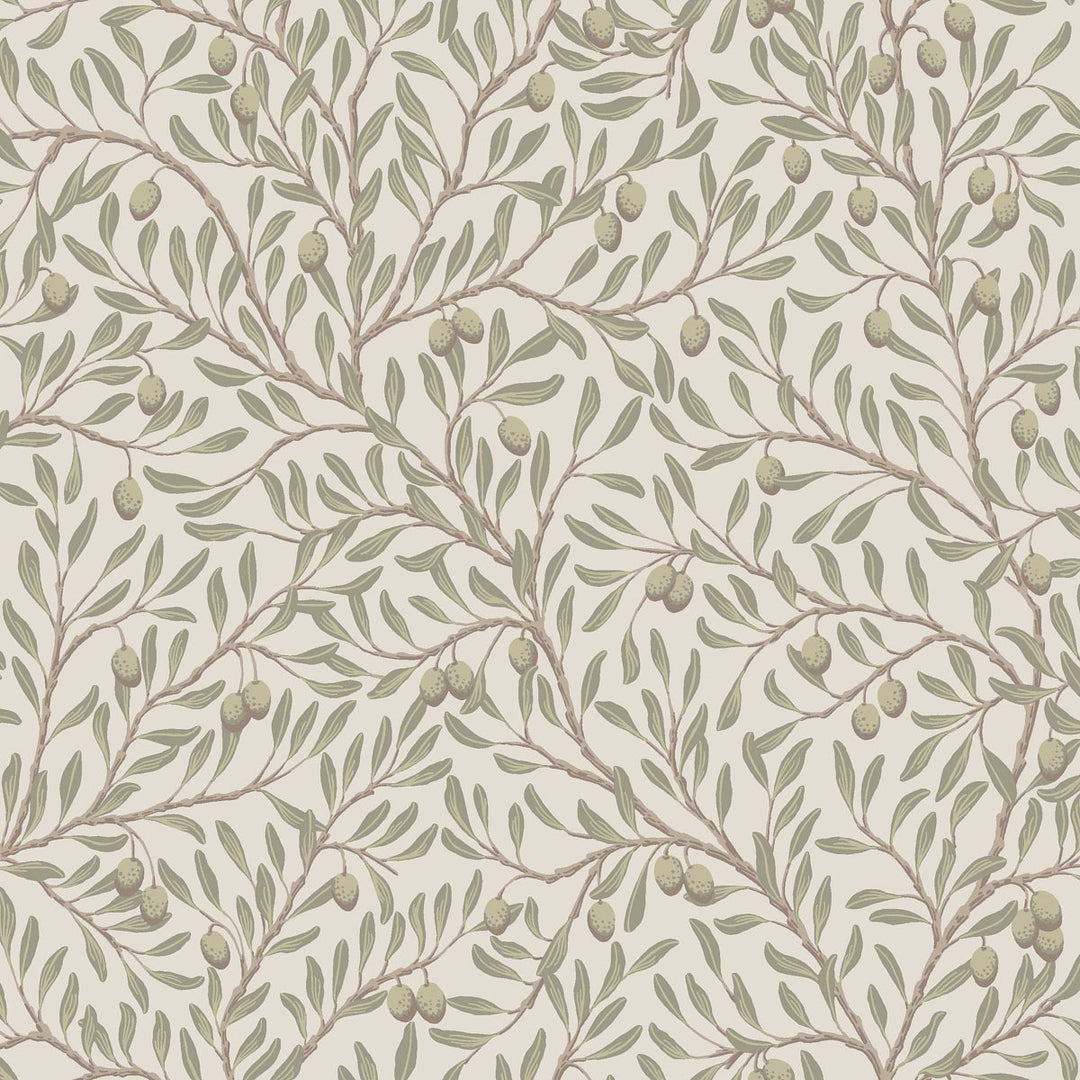 Schumacher Wallcovering Olivträd - Leaf And Ivory