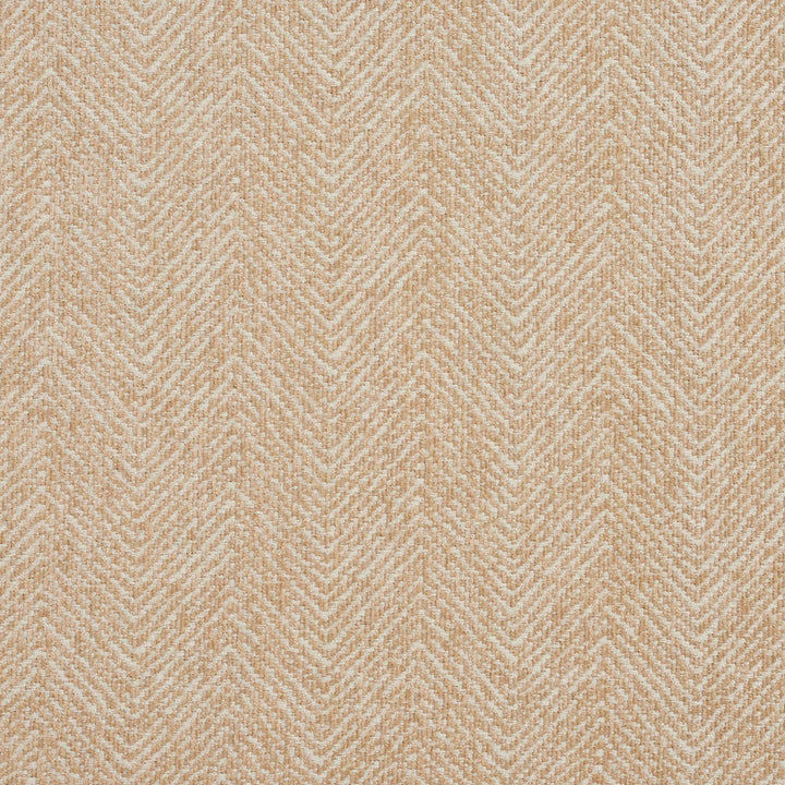 5731 Natural by Charlotte Designer Fabric Ring Book Page #18A 100% Woven Polyester Asia Exceeds 100,000 Wyzenbeek Rubs (Heavy Duty) Horizontal: 2.5" 54 Inches - Swanky Fabrics -