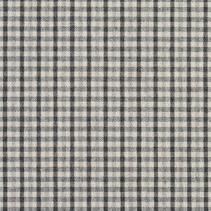 Charlotte Fabric 5810 Sterling Check