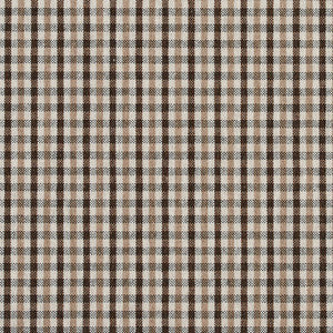 Charlotte Fabric 5812 Desert Check