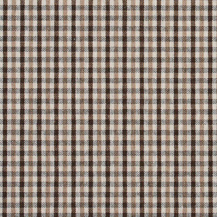 5812 Desert Check by Charlotte Designer Fabric Classic Patterns 52% Polyester, 48% Cotton Made In USA Exceeds 200,000 Wyzenbeek Rubs (Heavy Duty) Horizontal: .5" X Vertical: .25" 54 Inches - Swanky Fabrics -