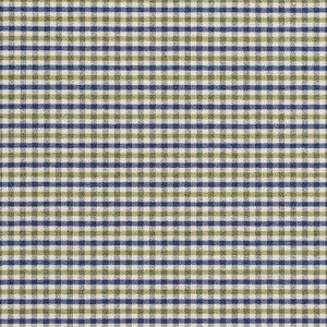 Charlotte Fabric 5813 Laguna Check